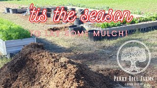 Mulch for WEED CONTROL