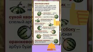 Выбираем вкусный #арбуз 👀 ЖМИ 👍и 🔔 #лето #бахча #дыня