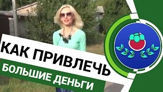 ⌚💲 Как привлечь большие деньги?