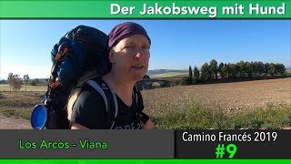 Jakobsweg mit Hund - Doku 2019 (4K) Tag 9: Los Arcos nach Viana || Camino Santiago Frances