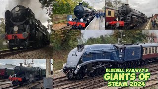 Bluebell Railway Giants of Steam l 2024