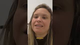 Granjas suínas modernas e Bem-Estar Animal