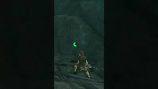 The Golden Ore decided to fool Link... #shorts #botw #botwshorts #nintendo #zelda #gaming #videogame