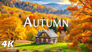 Autumn Scenic Landscape with Beautiful Piano Music🍁4K October Autumn Leaves & Fall Ambience