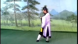 Wudang Pai Taiji Quan 18 Form - Xiang Long Shi Ba Shi - Tutorial by GM You Xuan De