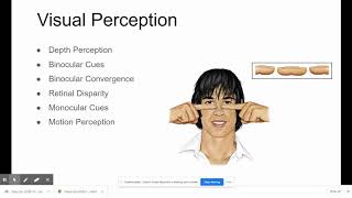 Perception - Lecture