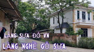 Làng Nghề Gỗ Sưa - Làng Sưa Đỏ VN Cả Làng Trồng Sưa Cả Làng Đi Buôn Cây Sưa Sẽ Như Thế Nào