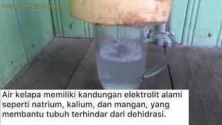 MANFAAT MINUM AIR KELAPA MUDA YANG TIDAK DISADARI