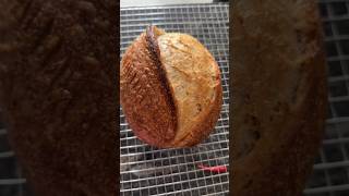 No more sticky dough  (sourdough) #shorts