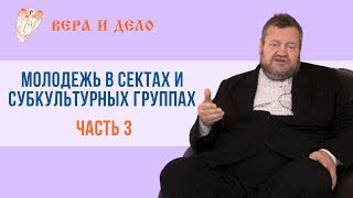 Священник Олег Стеняев: "Молодежь в сектах и субкультурных группах". Часть 3