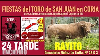 Sanjuanes Coria 2018. 24 tarde. Encierro. Rayito. Ayuntamiento. Versión 1.