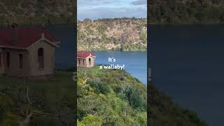 Blue lake in Mt Gambier at South Australia