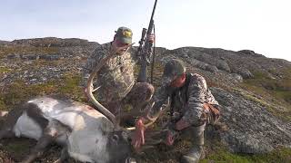 Greenland Reindeer Hunt