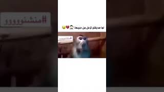 صديقتج من تزعل😂😹