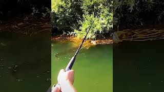 Amazing Fishing Big Fish Watch Video #Short