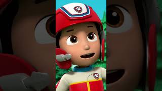 PAW Patrol | Rocky, plein de boue, arrête le robot-serveur ! #Shorts