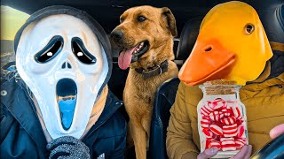 Vampire Surprises Chucky & Dog With Car Ride Chase by Ducky life