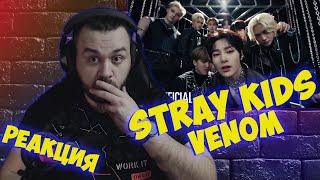 Реакция на Stray Kids "거미줄(VENOM)" Video