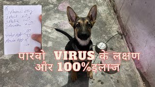 Parvo virus ka Pakka ilaag,￼ Parvo, Bimari Ke Lakshan, or pukka Ilaaj.￼parvo virus on dog.