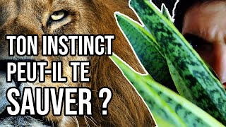 D'OÙ VIENT L'INSTINCT ?