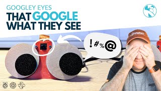 Googley Eyes that Google what they see