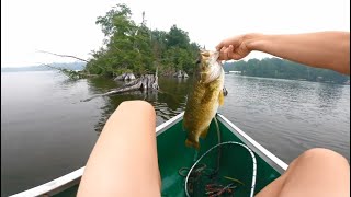 I did not think I would catch this!! Huge Fish!!! Fishing off a small boat