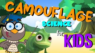 Camouflage | Science for Kids