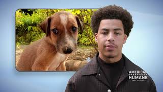 Marcus Scribner - A Better World For Animals