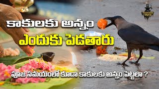 కాకులకు అన్నం ఎందుకు పెడతారు | పూజ సమయంలో కూడా కాకులకు అన్నం పెట్టలా ? | Sambha Shiva