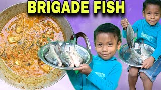 How they cook BRIGADE fish recipe with BRINJAL  in tribe village l Indian village life