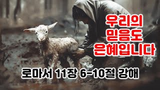 [롬 11:6-10] 우리의 믿음도 은혜입니다. 로마서 11장 6-10절 강해