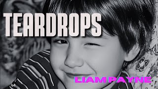 Liam Payne - Teardrops (Letra / Lyric) "I am broken too "