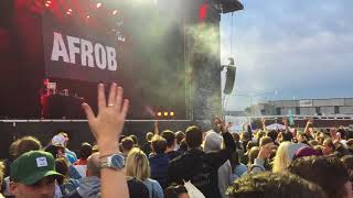 Afrob - Immer weiter (live @ Absolute Beginner Open Air 2018 - Hamburg) HD