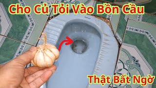 Chỉ Cần Cho 1 Củ Tỏi Vào Bồn Cầu Bạn Sẽ Thấy Kết Quả Rất Bất Ngờ.Cách Làm Sạch Mùi Hôi Bồn Cầu Cực H