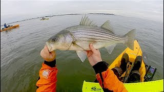 New Jersey Fall Run Surf Launch #3 - Schoolie Mega Blitz