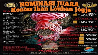 Nominasi Juara Kontes Ikan Louhan Di Jogja || Team PAG