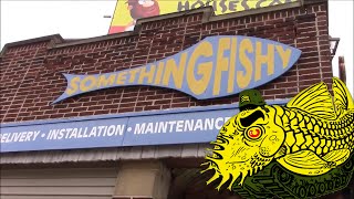 Something Fishy Inc. *** Fish Store Tour Part 1 ***