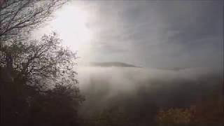 MTB Mountainbike Tour Trailtour Rhein Laacher See