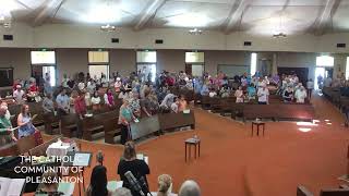 Sunday Mass Live Stream - July 7, 2024: Fourteenth Sunday in Ordinary Time