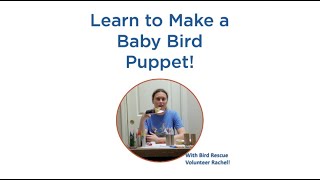 Kids Corner: Baby Bird Puppet Craft!