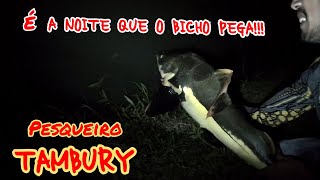 O Bicho Pegou Na Noturna - Pesqueiro Tambury