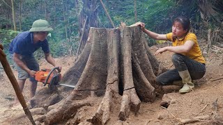 How to dig and cut a large tree stump and transport - Woodworking Skills Large Extremely DANGEROUS