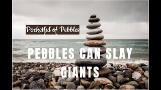 Pocketful of Pebbles | Workshop Launch