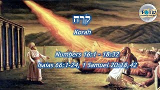 Korach | "Bald" Torah Portion