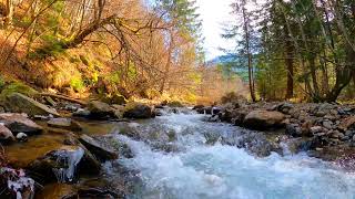 Relaxing River Sounds - Peaceful Forest River - 3 Hours Long - Sound Sleep Immediately