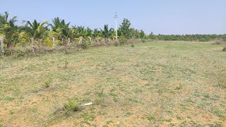 5.5 Acres agriculture land for sale 7338197726