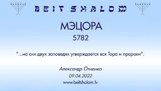 МЭЦОРА 5782. "...на сих двух заповедях утверждается вся Тора и пророки". (А. Огиенко 09.04.2022)