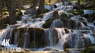 Waterfall Sounds 4K - Flowing Water - Fall Asleep😴 - 8 hours