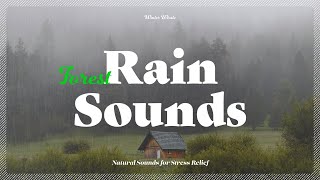 Forest Rain Sounds for Relaxing Sleep | Nature Sounds, White Noise