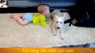 funny videos for kids 2016